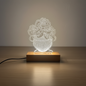 Floral Vase LED Acrylic Lamp